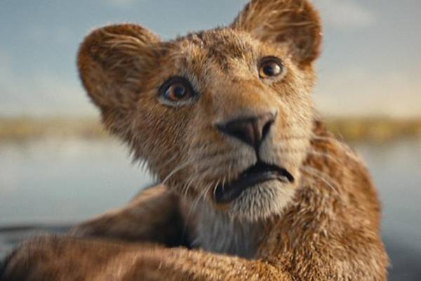 'Mufasa: The Lion King' teaser trailer debuts exclusively on 'Good Morning America'