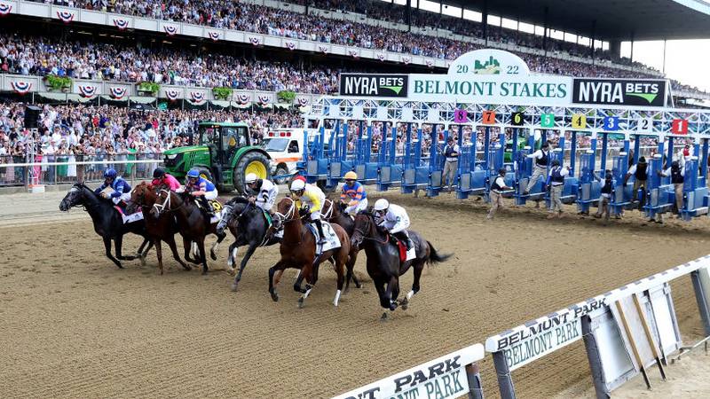 ELMONT, NEW YORK - JUNE 11:  The field starts the 154th running of the Belmont Stakes at Belmont Park on June 11, 2022 in Elmont, New York. (Photo by Al Bello/Getty Images)