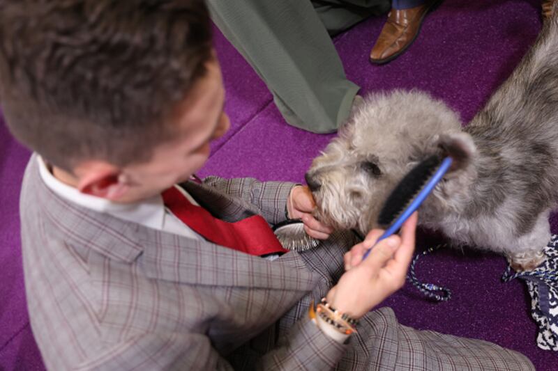 Westminster Kennel Club