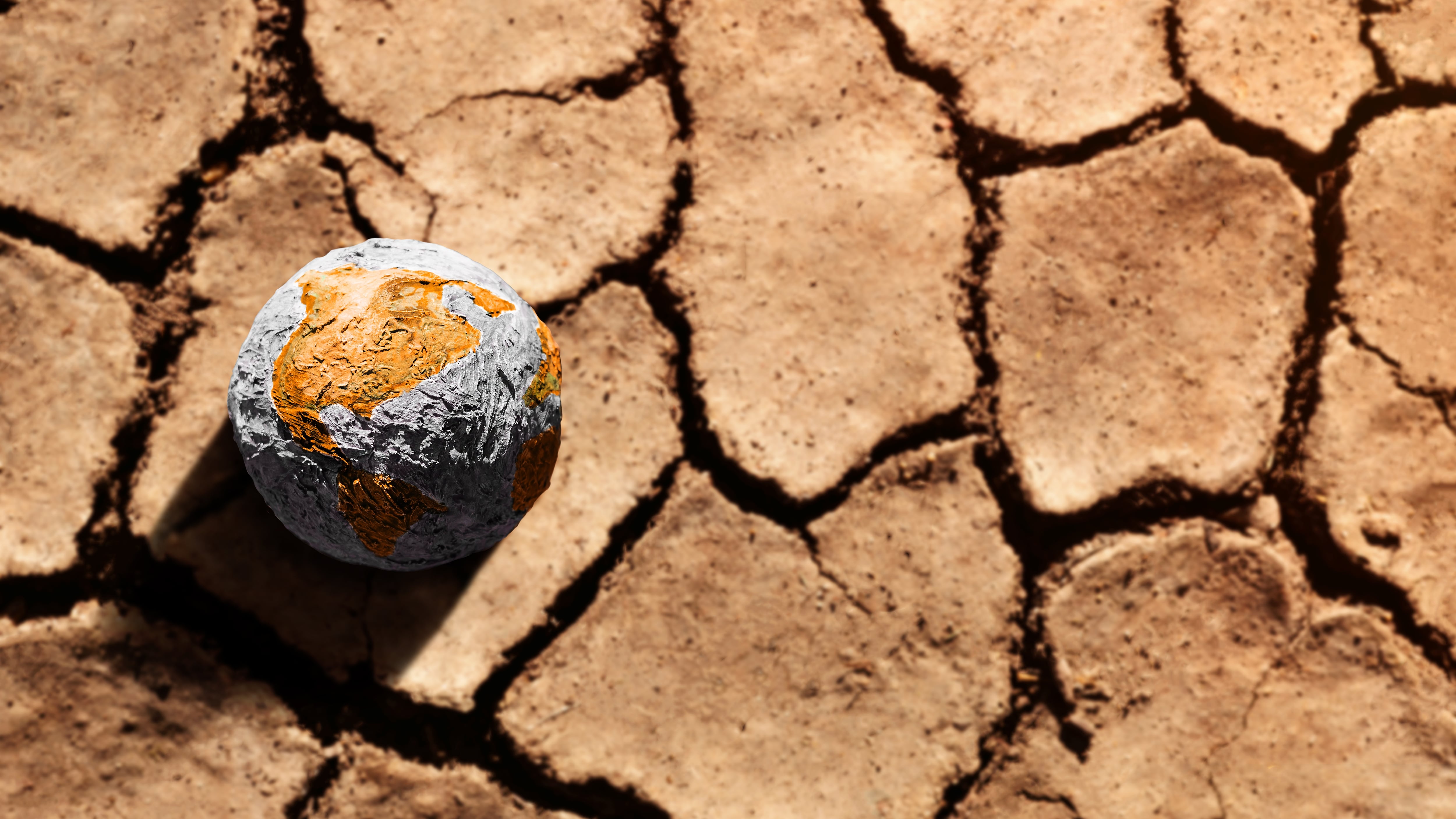 dry ground with globe