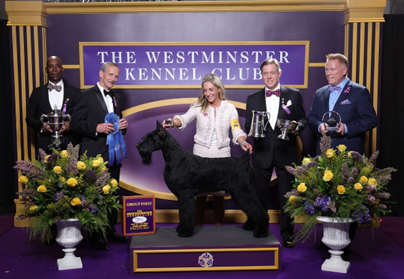 Westminster Kennel Club