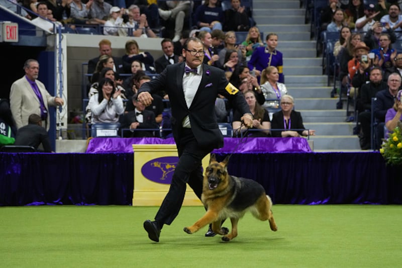 Westminster Kennel Club